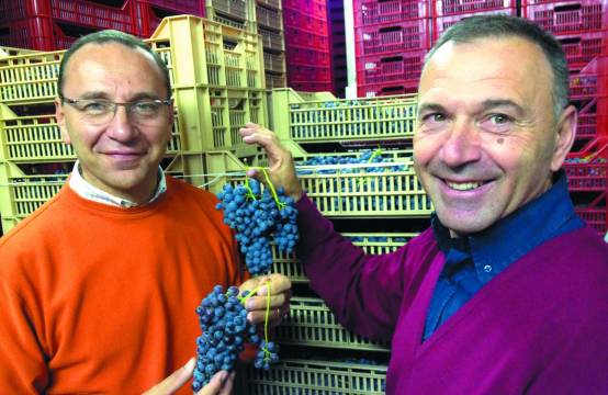 Broers Daniele en Tiziano Accordini